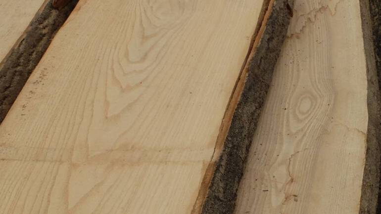 Eichenschnittholz aus Polen kaufen